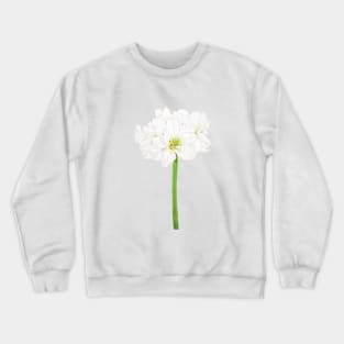 white Amaryllis flowers watercolor Crewneck Sweatshirt